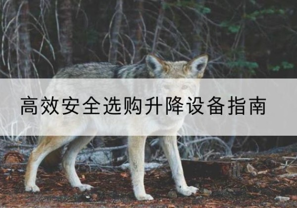德钦升降货梯厂家推荐-*安全选购升降设备指南