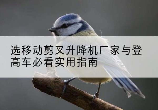 德钦电动升降机厂家-选移动剪叉升降机厂家与登高车必看实用指南